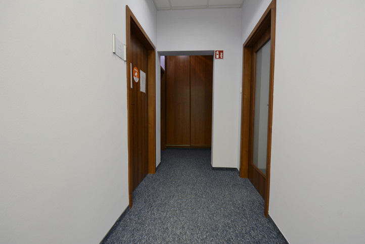 Lokal Wynajem Opole Centrum 12