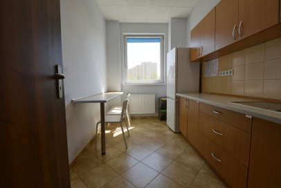 Lokal Wynajem Opole Centrum